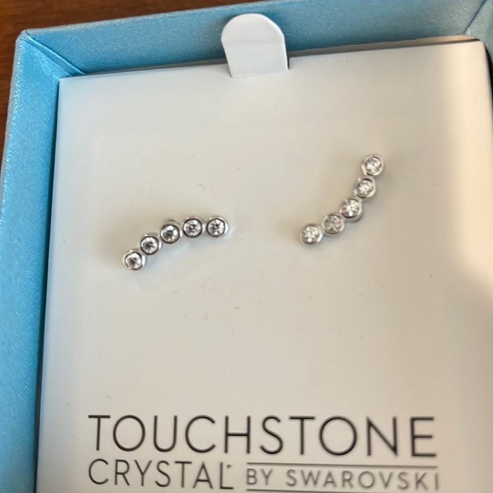 Touchstone Urban Climber Earrings